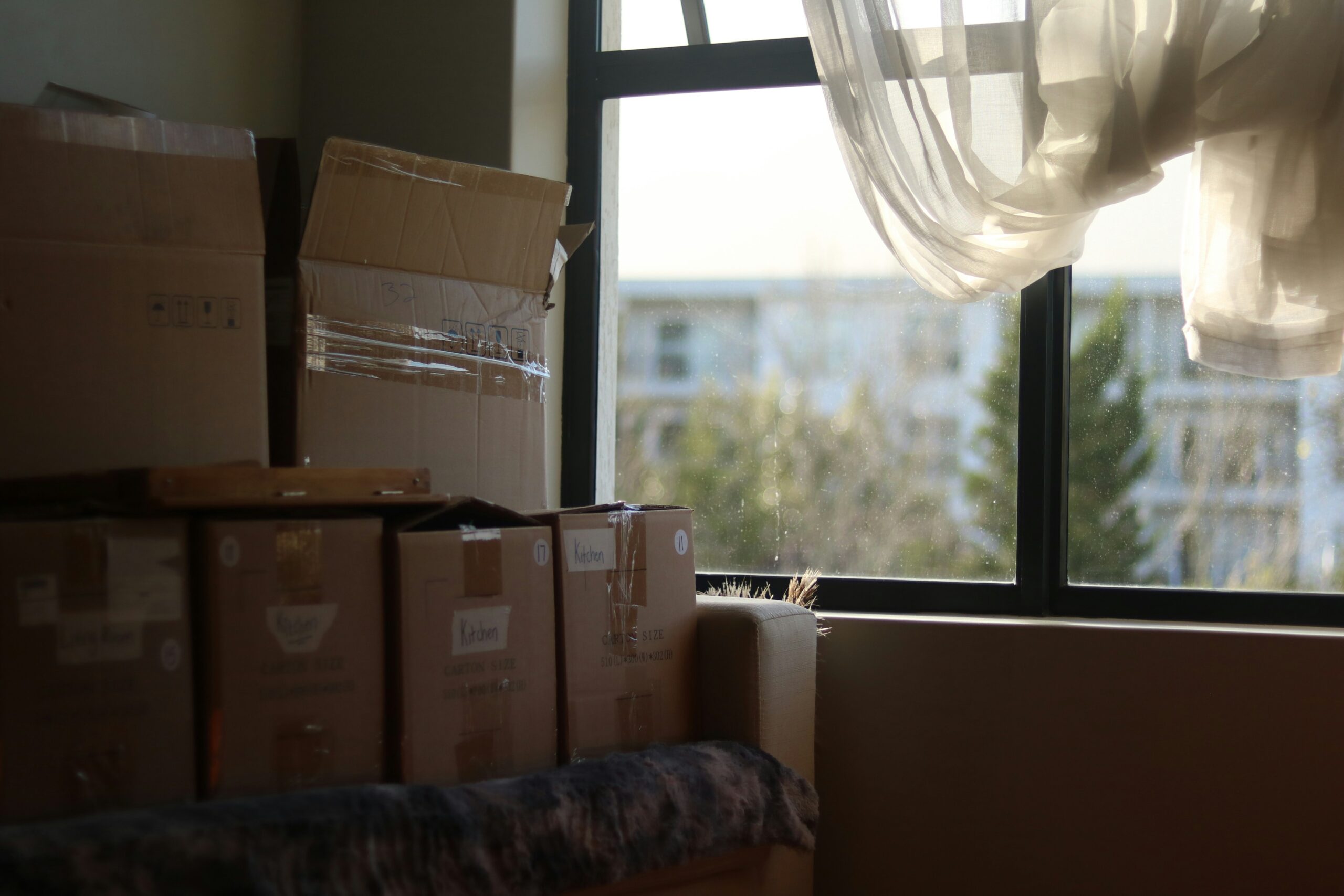 How to uproot your life again and again